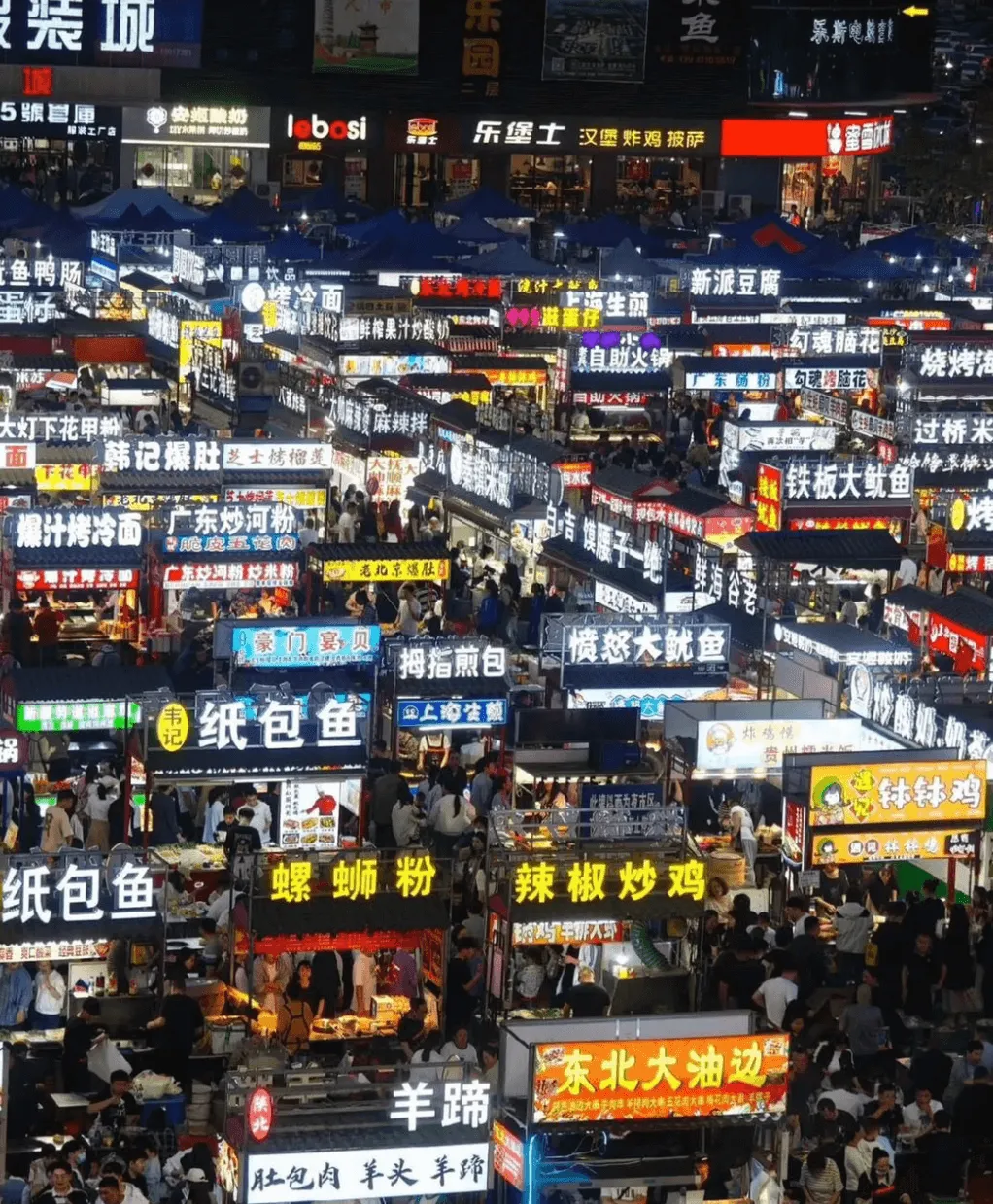 装城乐园鱼乐斯电脑二层5號营庫安装酸奶lobosi绿装工厂店
