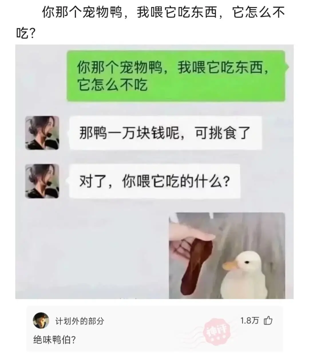 你那个宠物鸭，我喂它吃东西，它怎么不吃?你那个宠物鸭，我喂它