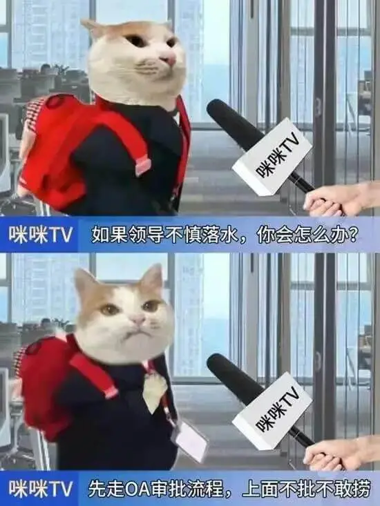 咪咪TV如果领导不慎落水，你会怎么办？先走OA审批流程，上面
