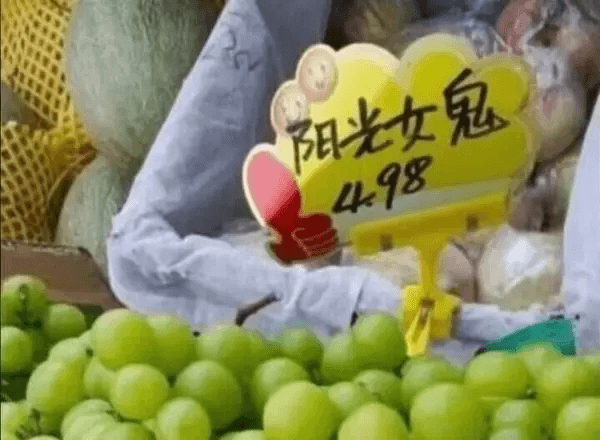 阳光女鬼498