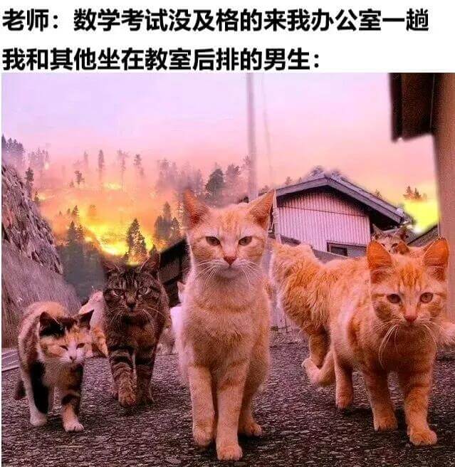 老师：数学考试没及格的来我办公室一趟我和其他坐在教室后排的男