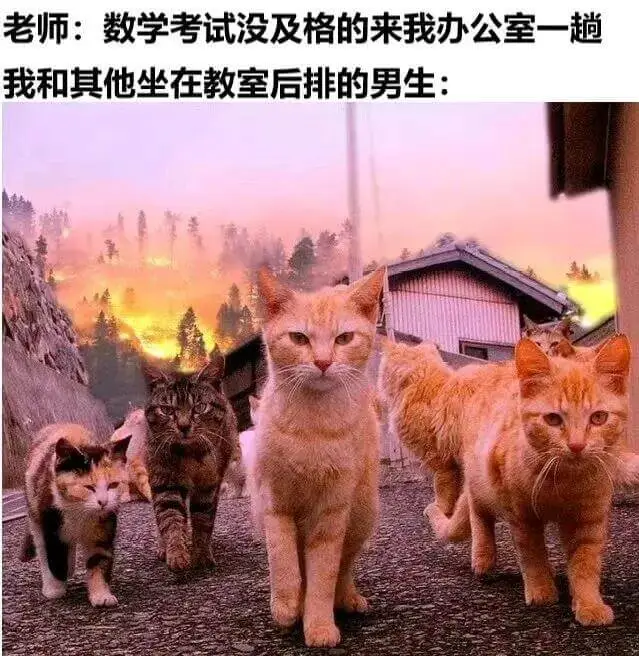 老师：数学考试没及格的来我办公室一趟我和其他坐在教室后排的男