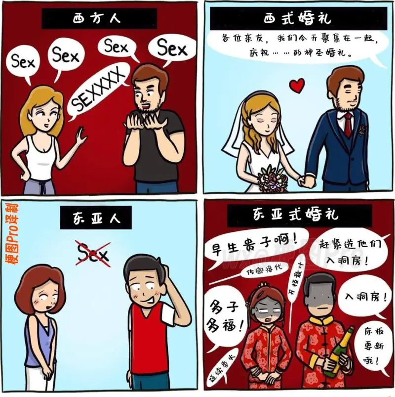 西方人SexSexSexSex梗图Pro译制东亚人西式婚礼各