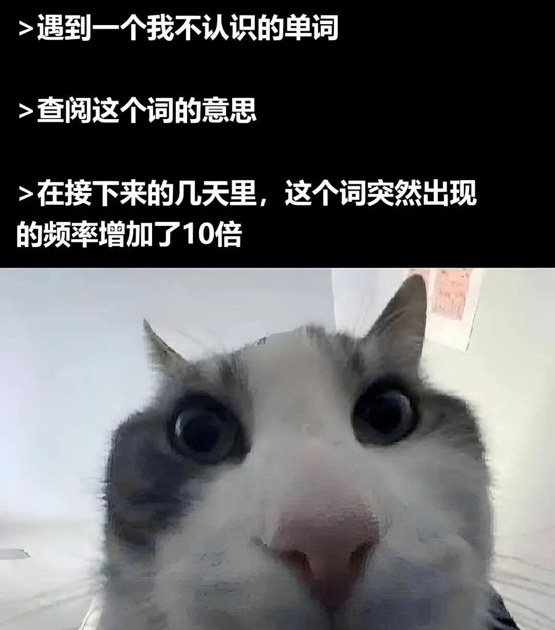 遇到一个我不认识的单词，查阅这个词的意思，在接下来的几天里，