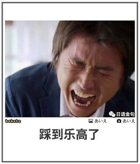 日语金句boketo国元踩到乐高了