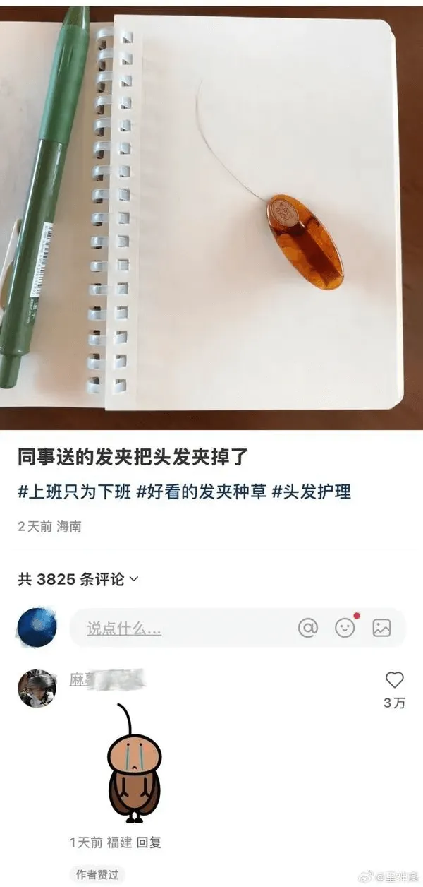 同事送的发夹把头发夹掉了上班只为下班好看的发夹种草头发护理2