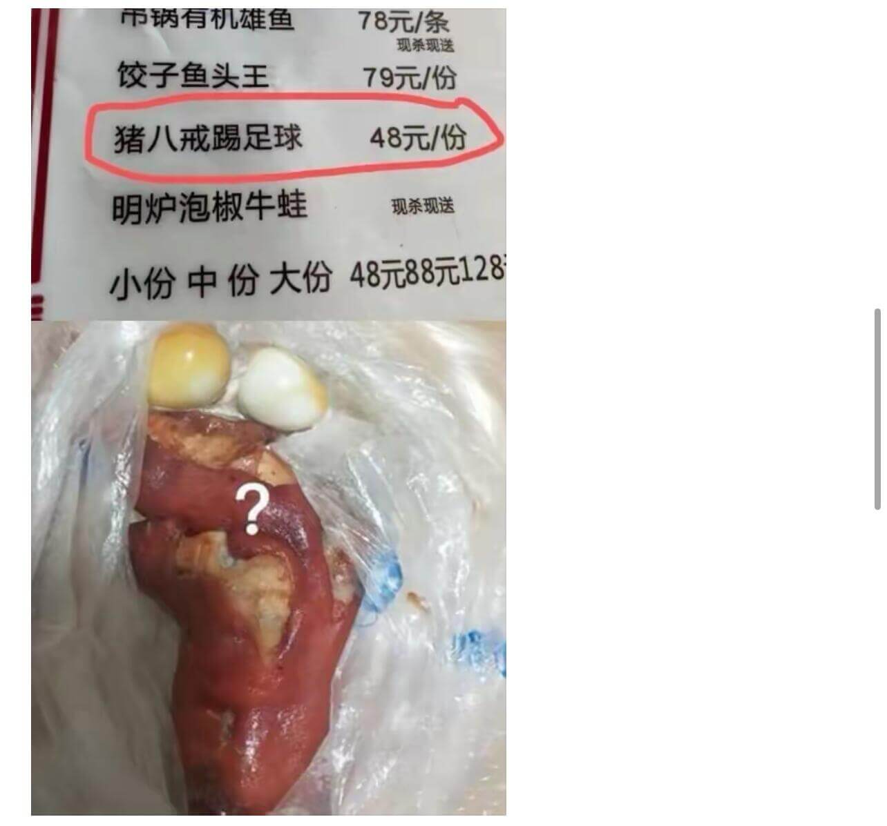 吊锅有机雄鱼78元/条现杀现送饺子鱼头王79元/份猪八戒踢足
