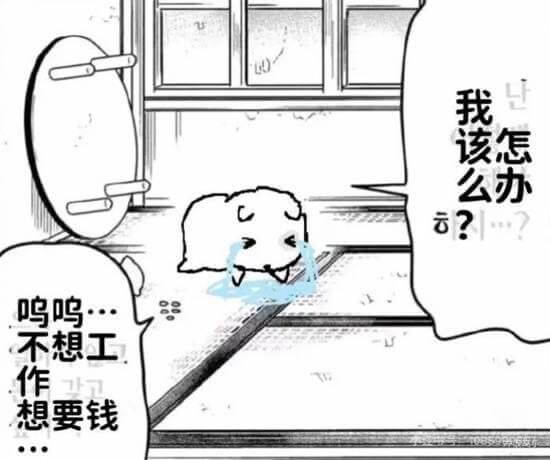 我该怎公办？不想工作，想要钱。