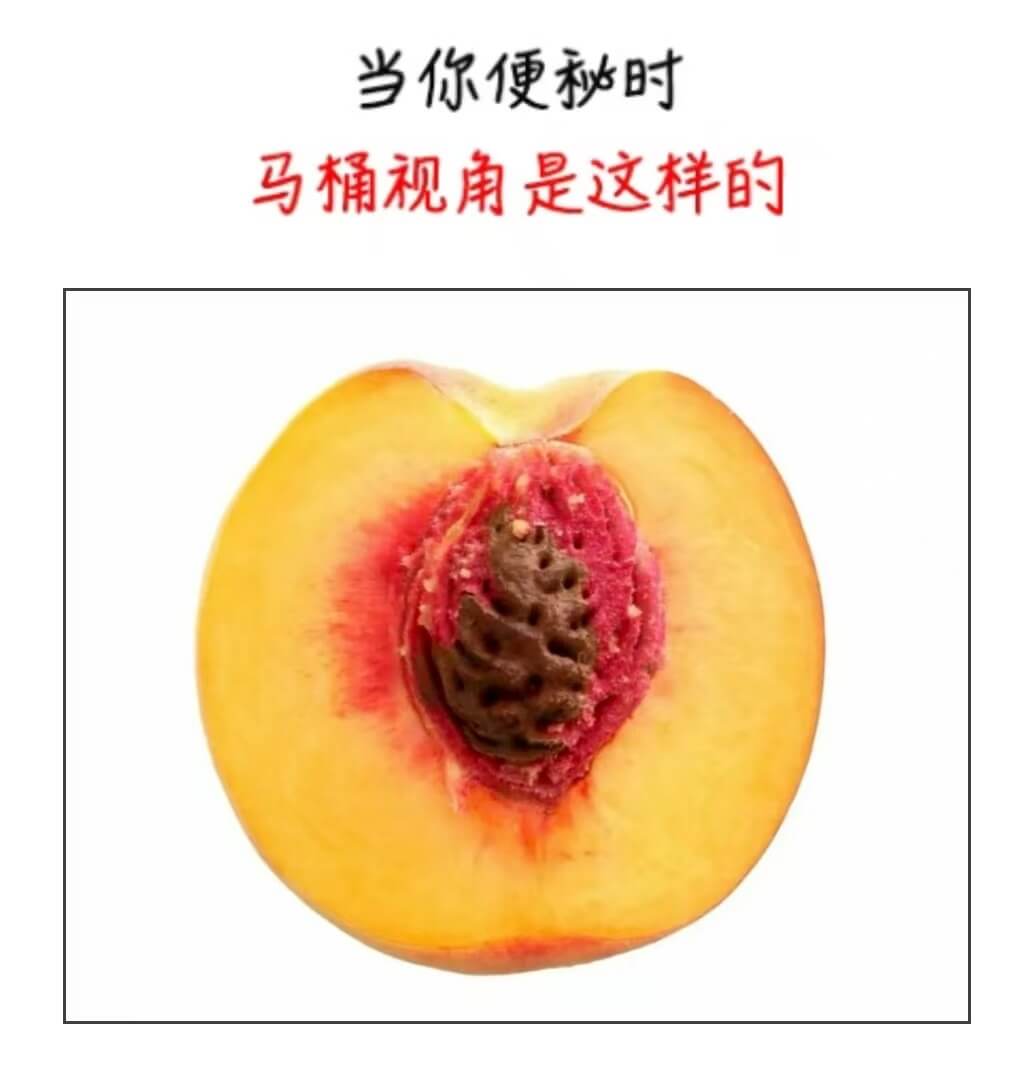 当你便秘时，马桶视角是这样的