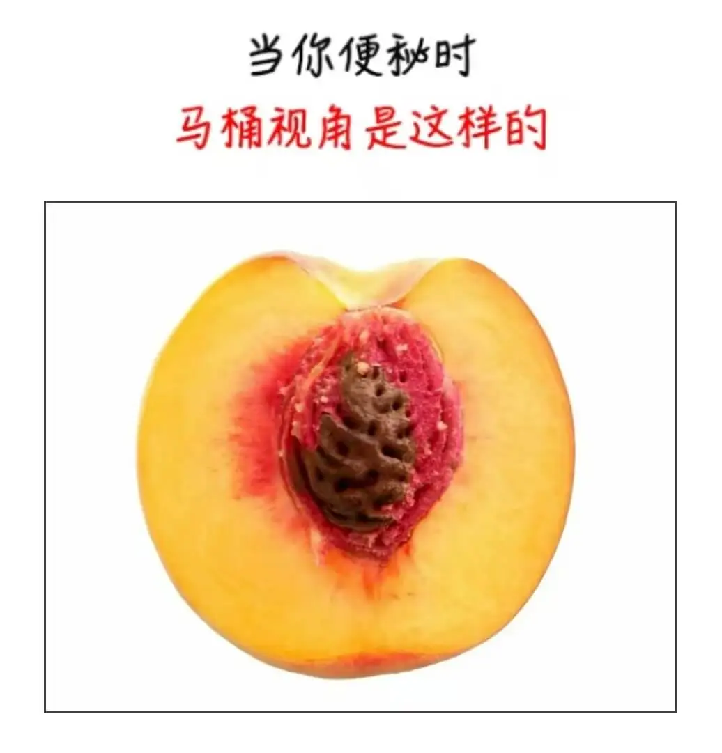 当你便秘时，马桶视角是这样的