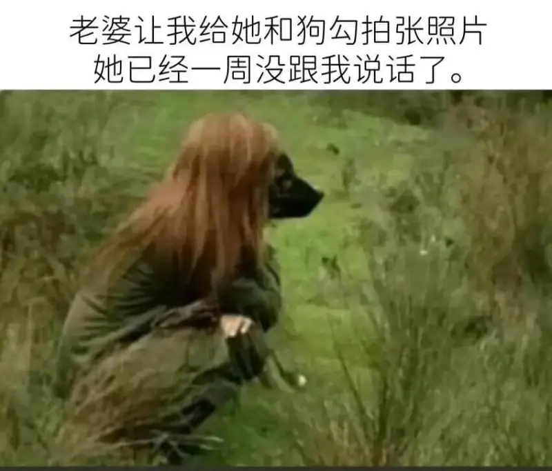 老婆让我给她和狗勾拍张照片，她已经一周没跟我说话了。