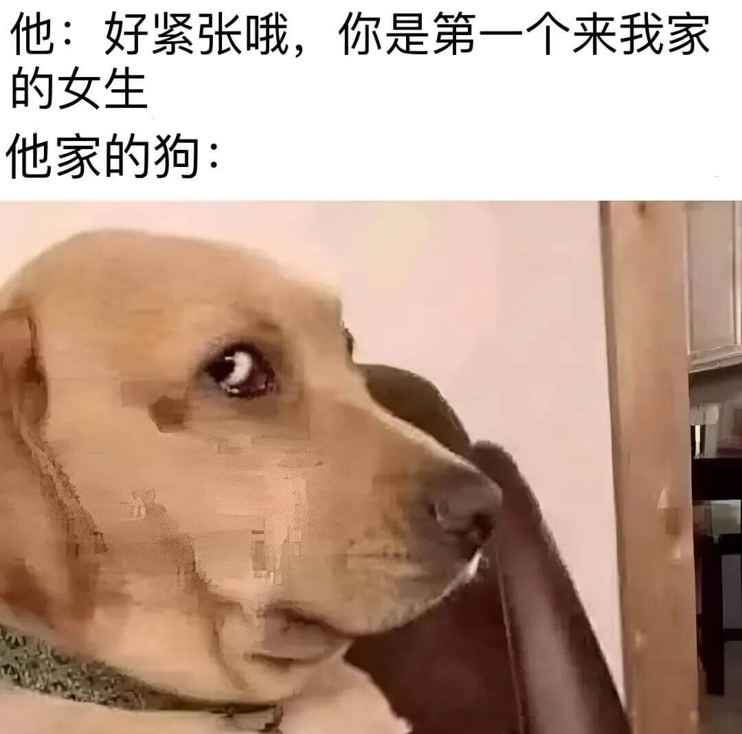 他：好紧张哦，你是第一个来我家的女生。他家的狗：
