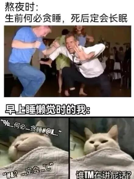 熬夜时：生前何必贪睡，死后定会长眠。早上睡懒觉时的我：“何必