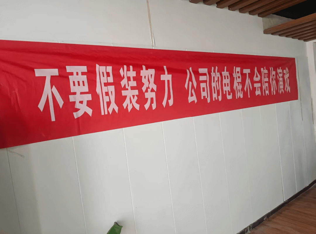 不要假装务力公司动电不的