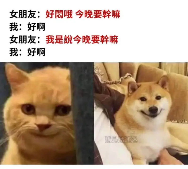 女朋友：好間哦今晚要斡嘛我：好啊女朋友：我是说今晚要翰嘛我：