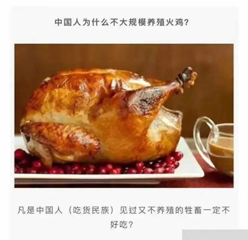 中国人为什么不大规模养殖火鸡？凡是中国人（吃货民族）见过又不