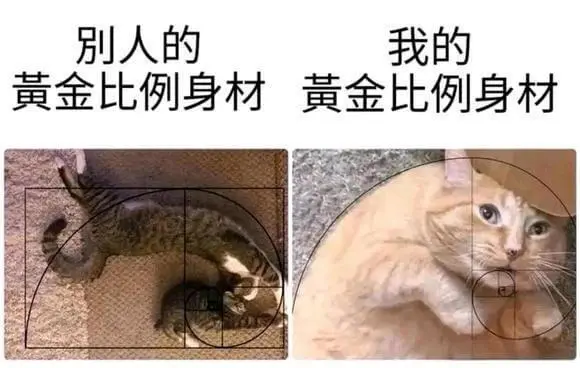 别人的我的黄金比例身材黄金比例身材