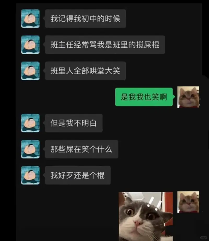 我记得我初中的时候班主任经常骂我是班里的搅屎棍班里人全部哄堂