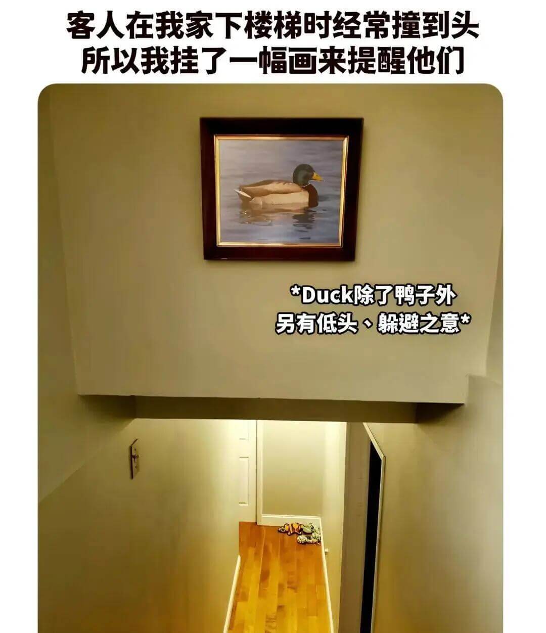 客人在我家下楼梯时经常撞到头所以我挂了一幅画来提醒他们*Du