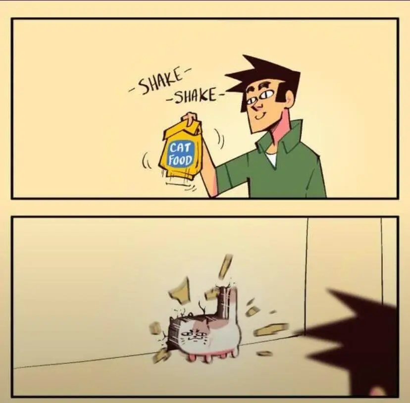 SHAKE-SHAKECATFOOD