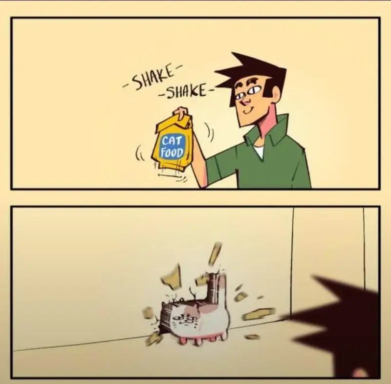 SHAKE-SHAKECATFOOD