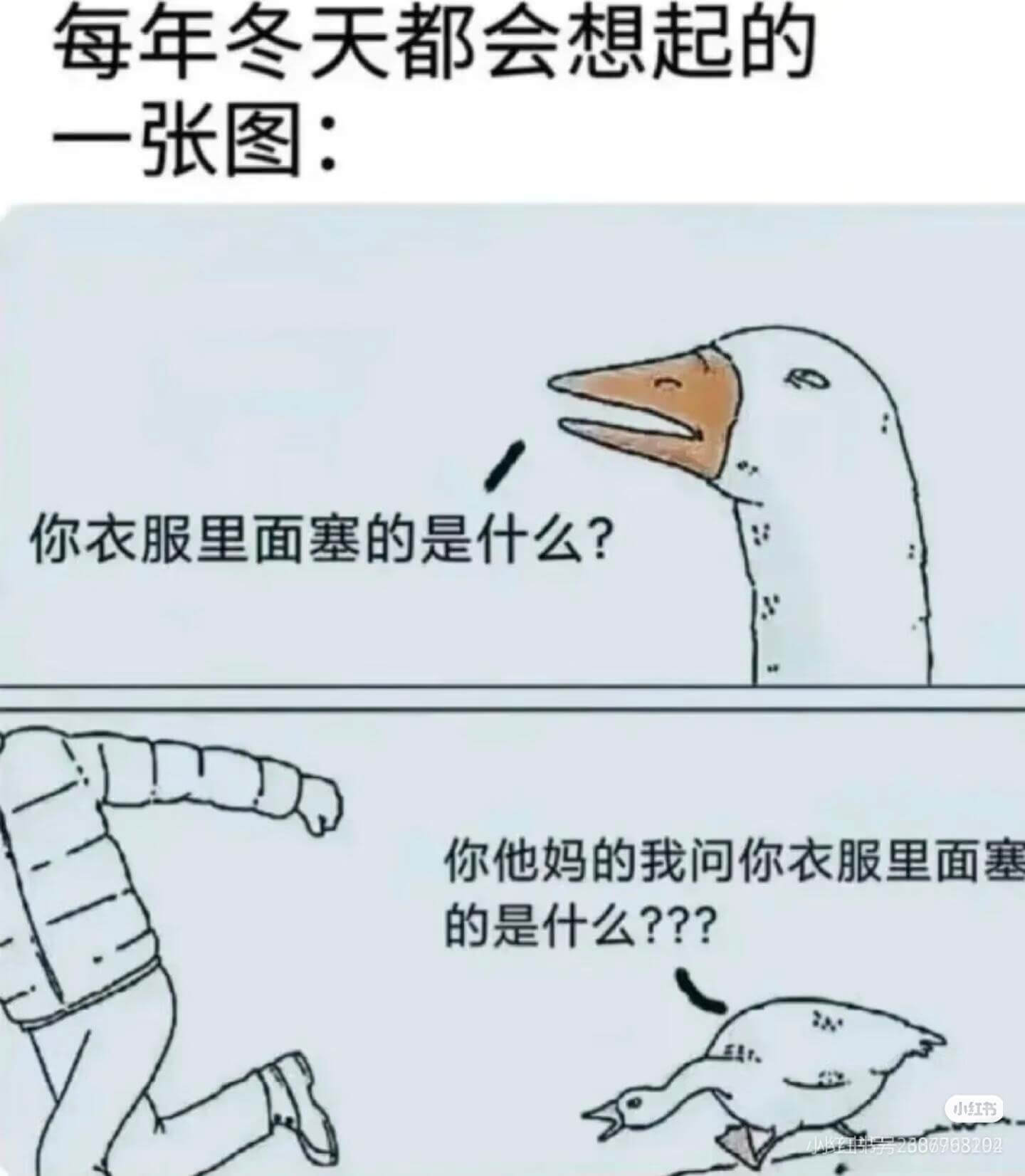 每年冬天都会想起的一张图：你衣服里面塞的是什么？你他妈的，我