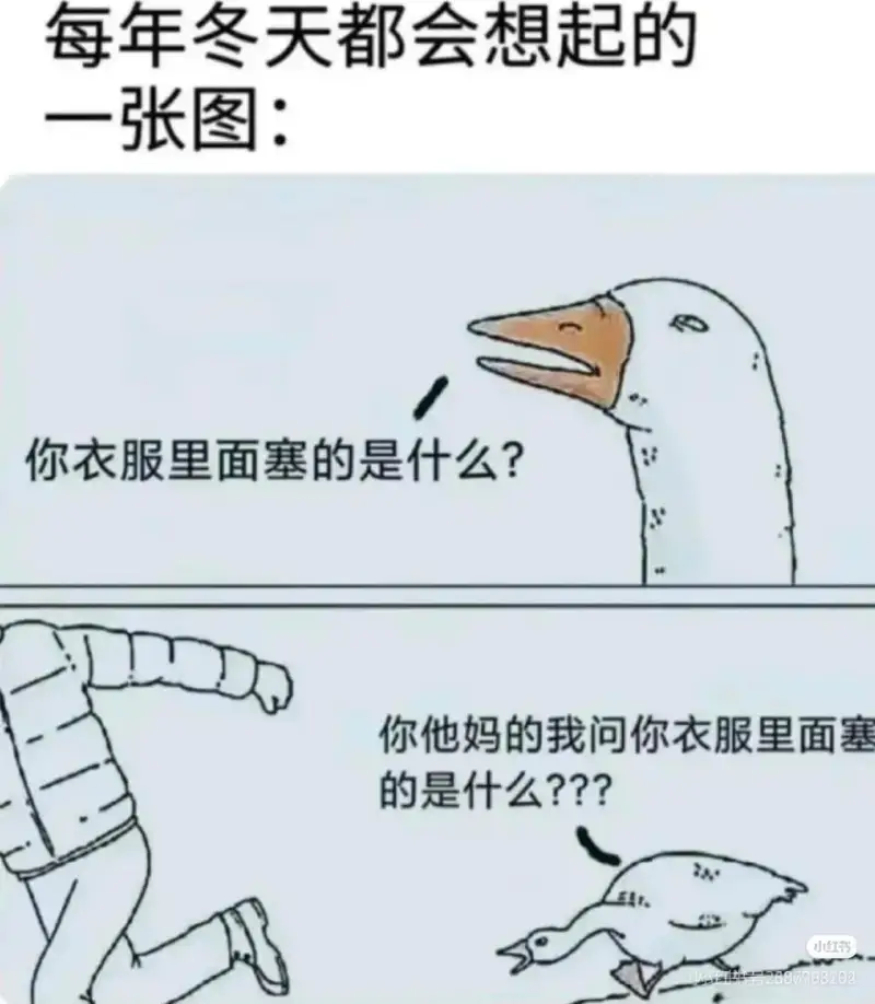 每年冬天都会想起的一张图：你衣服里面塞的是什么？你他妈的，我