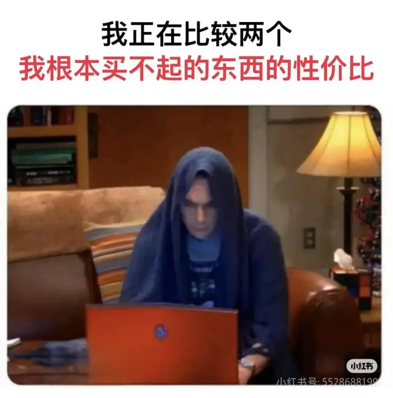 我正在比较两个我根本买不起的东西的性价比小红书小红书号:55