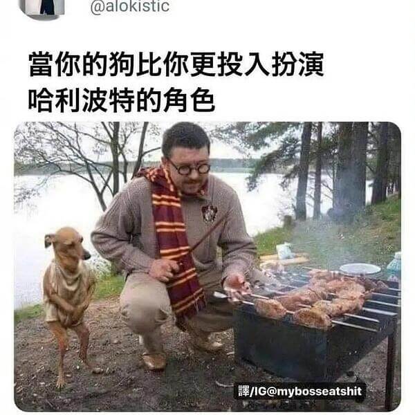 @alokistic当你的狗比你更投入扮演哈利波特的角色/I