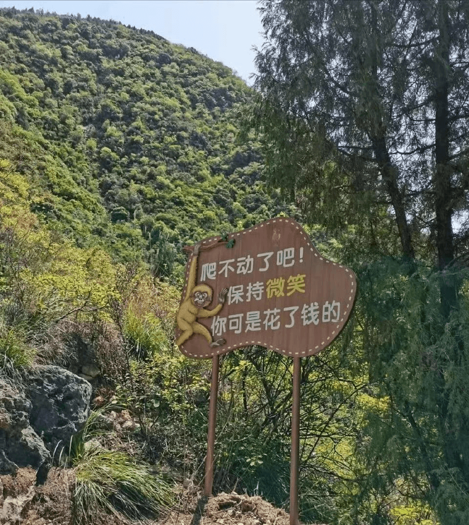 爬不动了吧！保持微笑，你可是花了钱的。