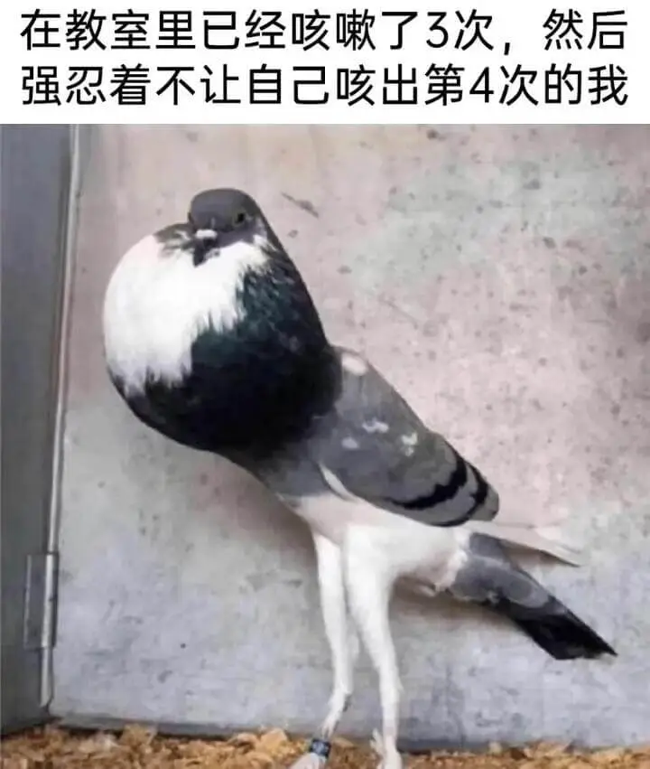 在教室里已经咳嗽了3次，然后强忍着不让自己咳出第4次的我