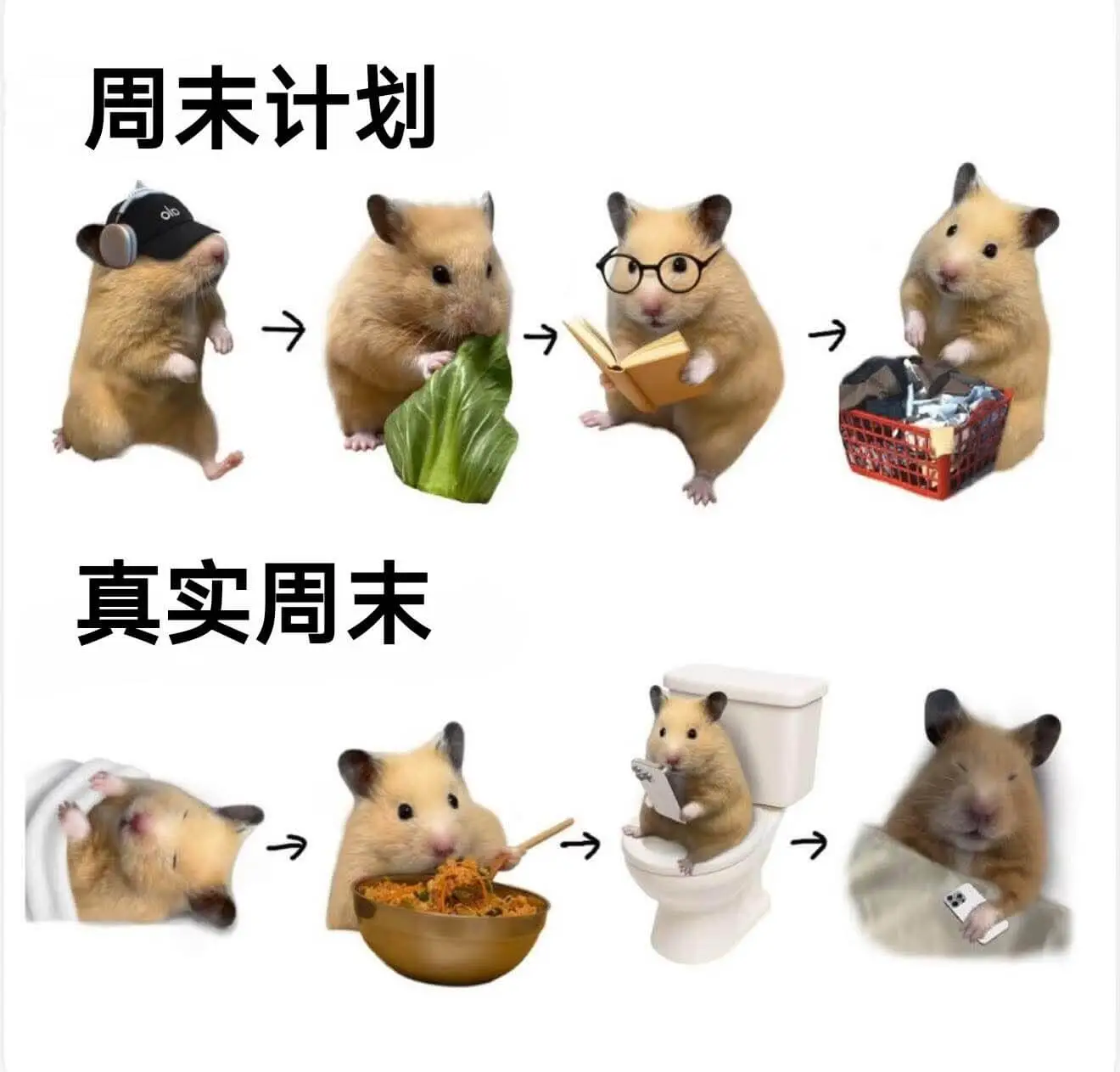 周末计划真实周末