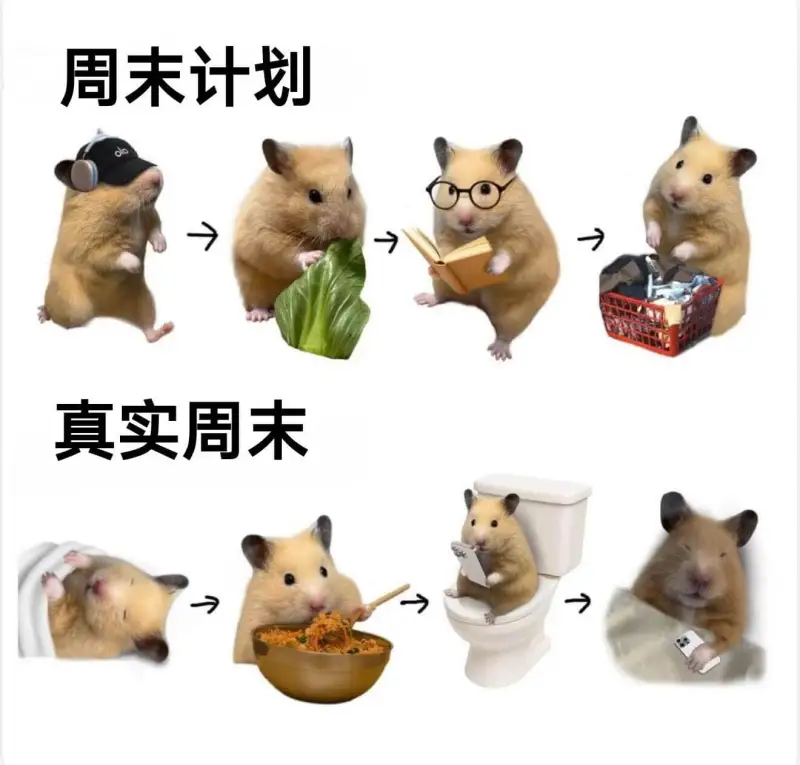 周末计划真实周末