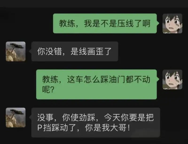 教练，我是不是压线了啊你没错，是线画歪了教练，这车怎么踩油门