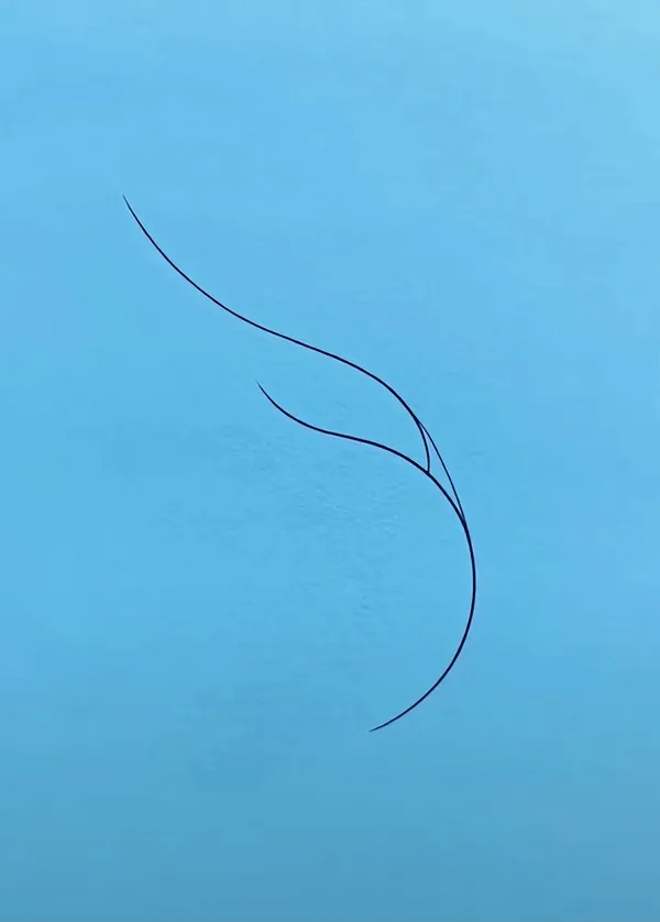 人脑的渲染功能还是强啊
