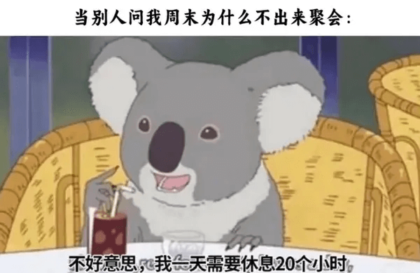 当别人问我周末为什么不出来聚会：不好意思，我那天需要休息20