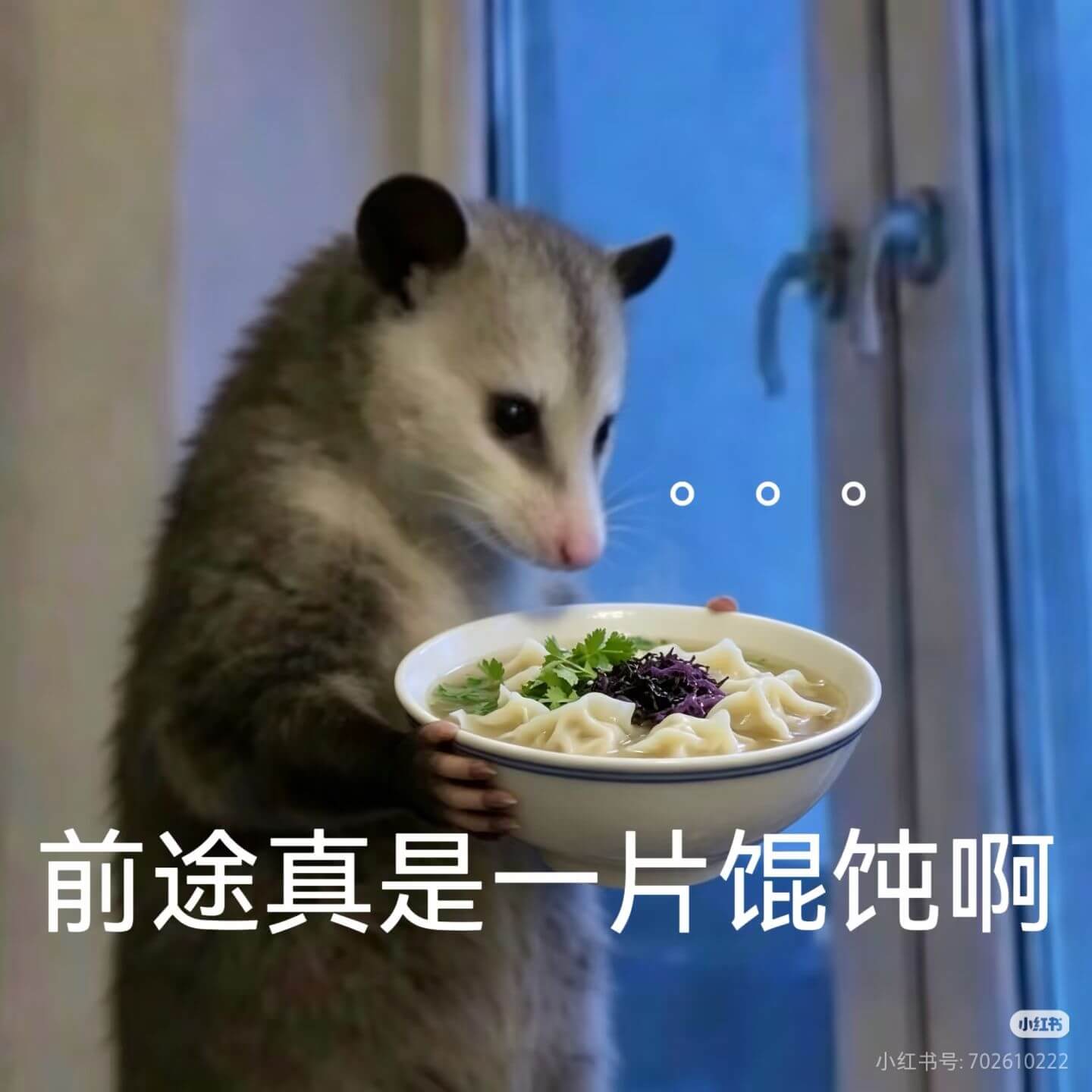 前途真是一片混沌啊小红书小红书号:702610222
