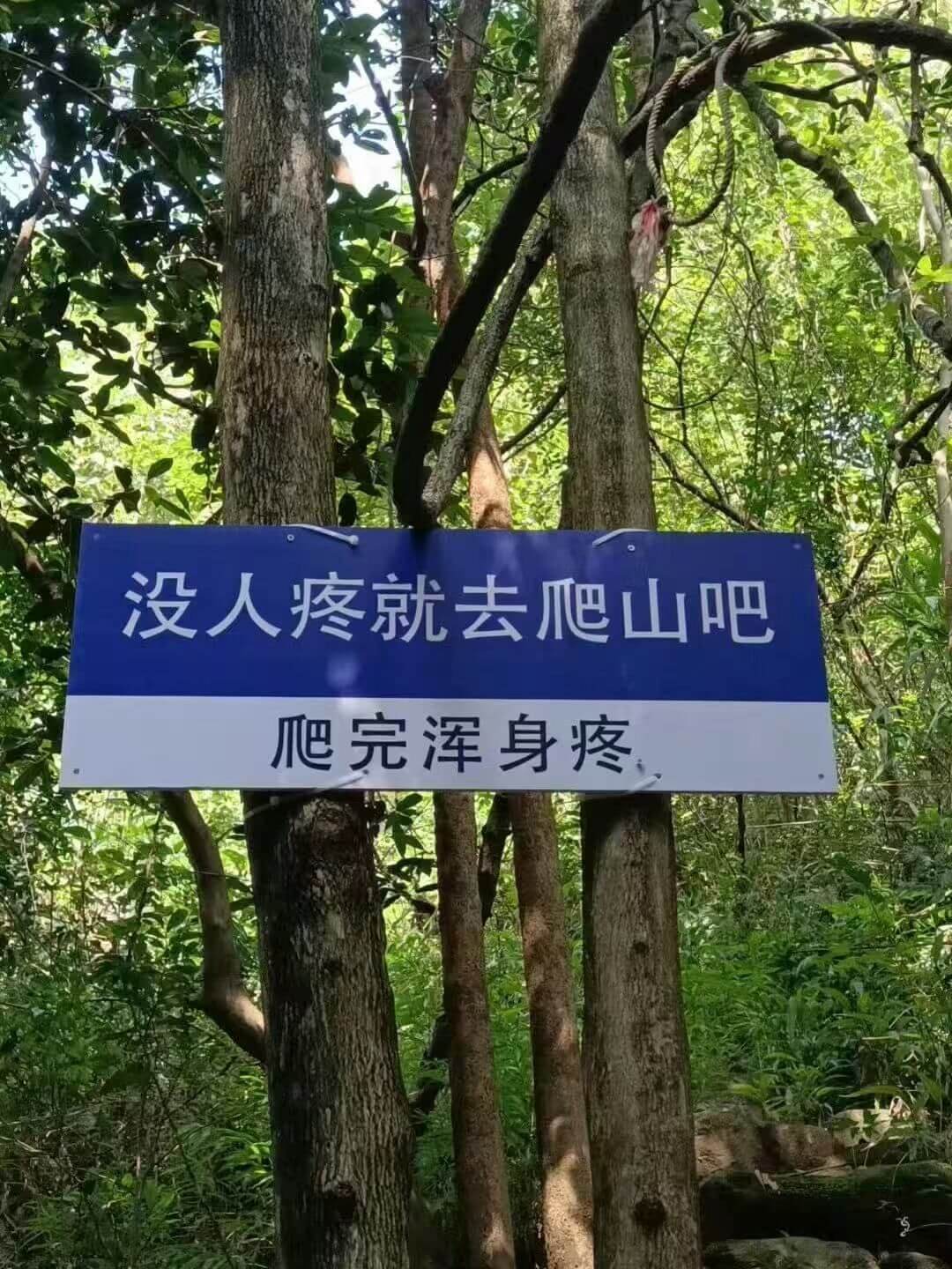 没人疼就去爬山吧爬完浑身疼