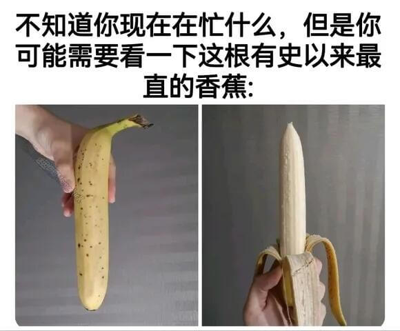 不知道你现在在忙什么，但是你可能需要看一下这根有史以来最直的