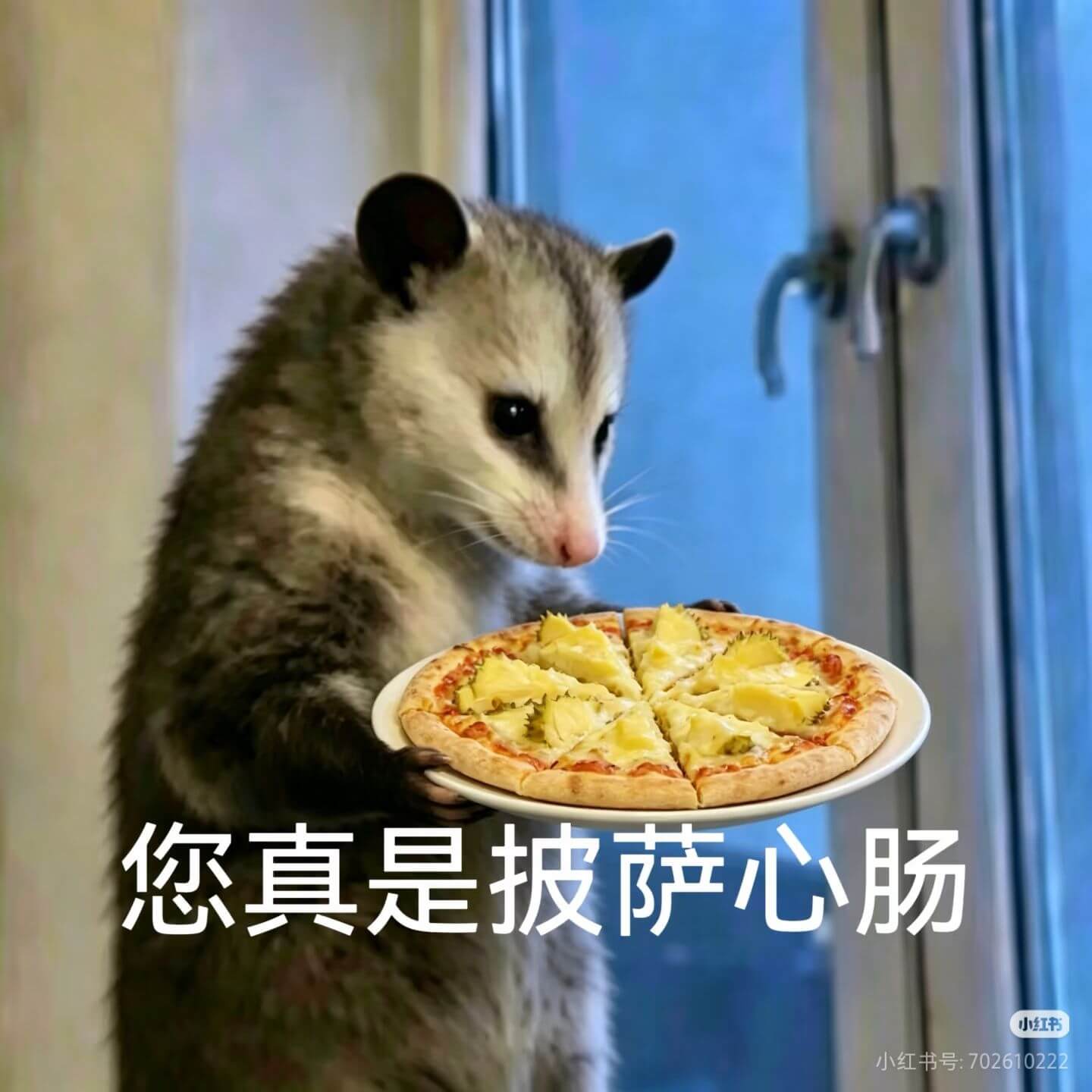 您真是披萨心肠小红书小红书号:702610222