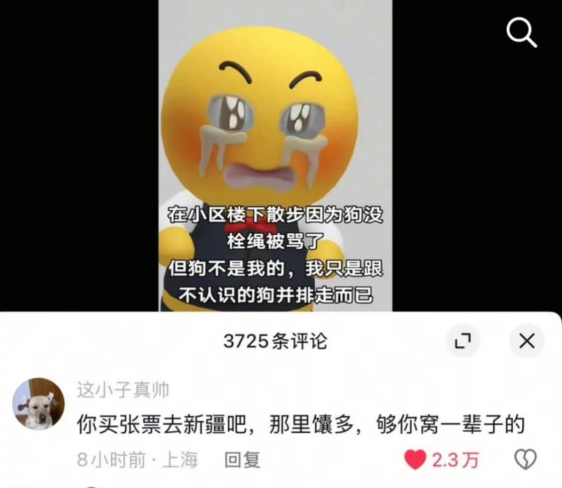 在小区楼下散步因为狗没栓绳被骂了但狗不是我的，我只是跟不认识