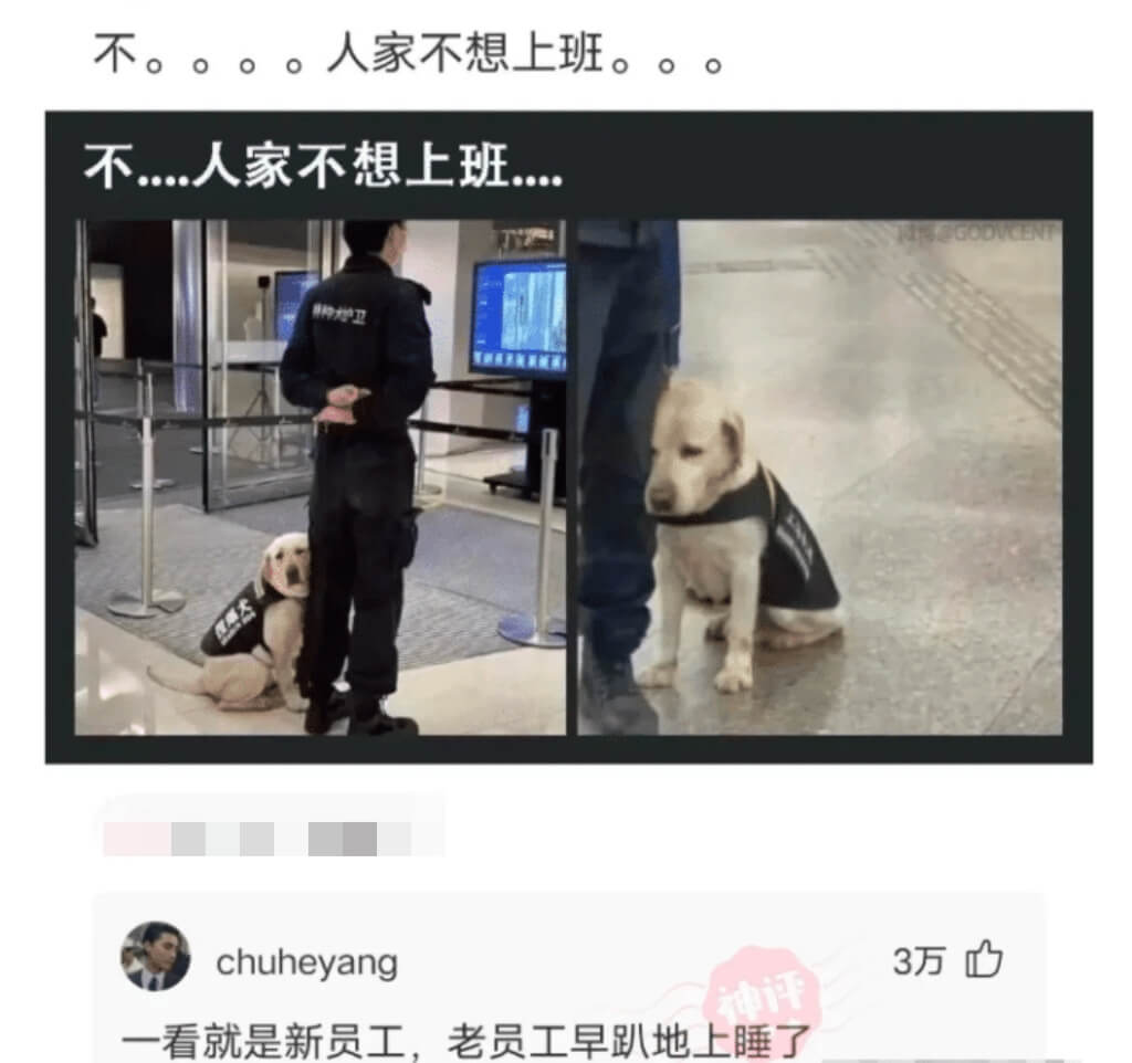 不。。。。人家不想上班。。。不....人家不想上班....F