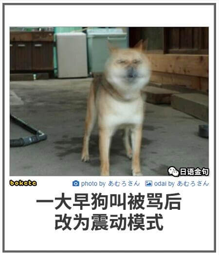 日语金句boketeaphotoby3国odaiby3h一大