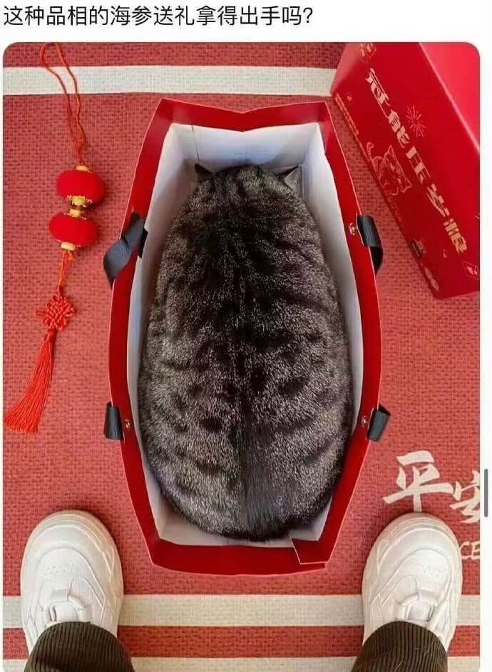 这种品相的海参送礼拿得出手吗?