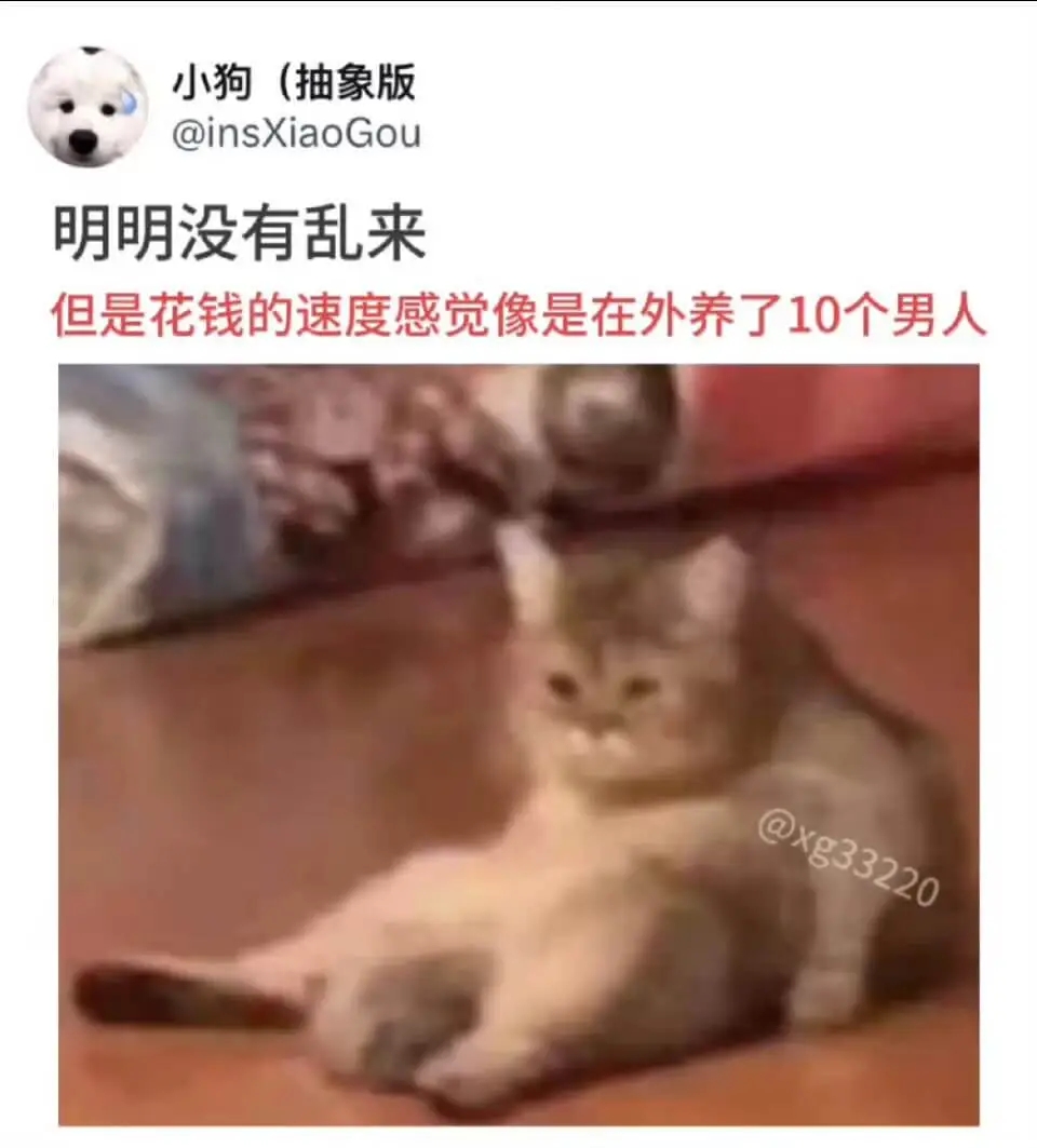 小狗（抽象版）@insXiaoGou明明没有乱来，但是花钱的
