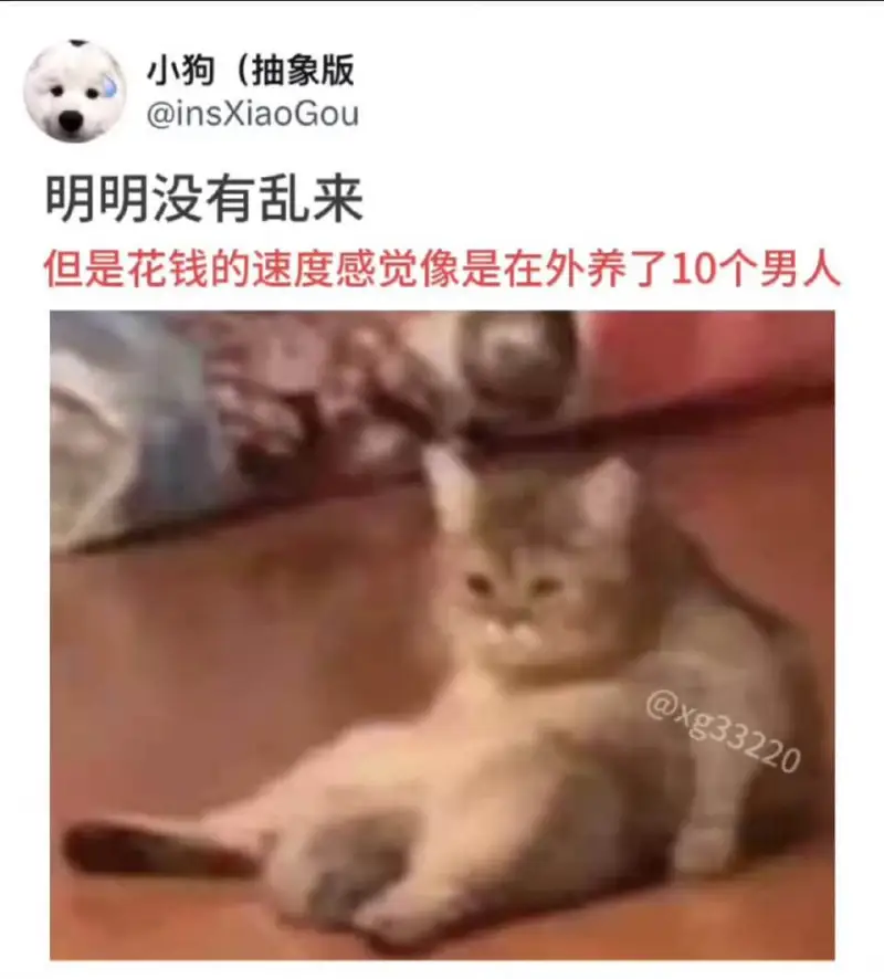 小狗（抽象版）@insXiaoGou明明没有乱来，但是花钱的