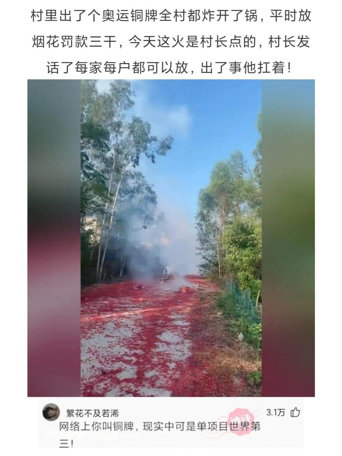 村里出了个奥运铜牌，全村都炸开了锅。平时放烟花罚款三千，今天
