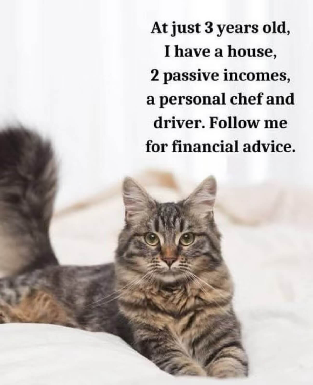 Atjust3yearsold,Ihaveahouse,2p