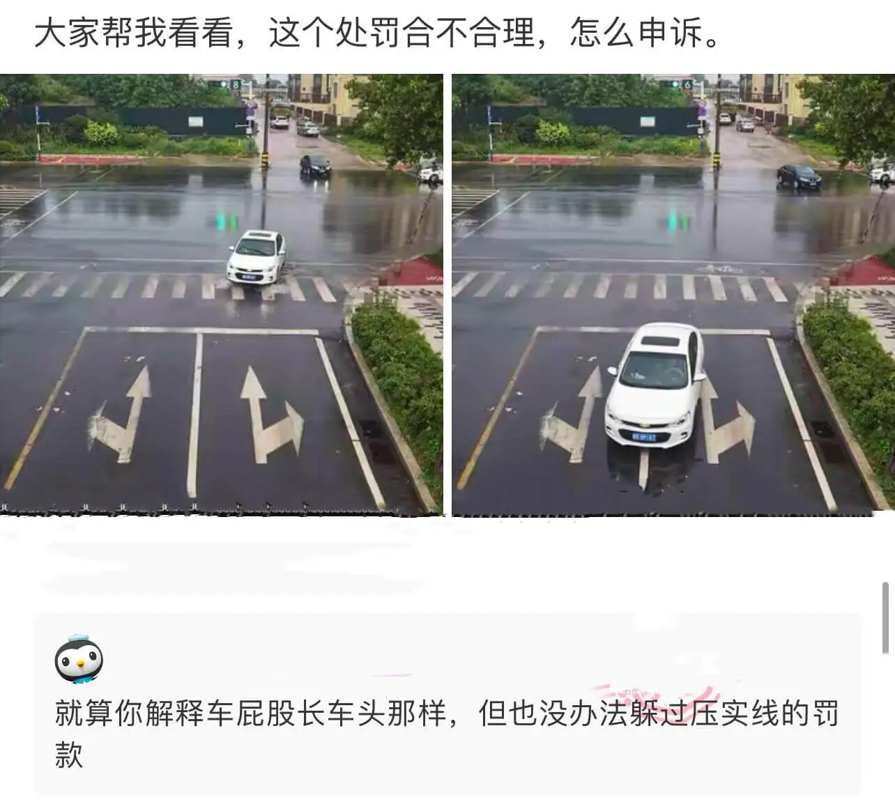 大家帮我看看，这个处罚合不合理，怎么申诉。就算你解释车屁股长