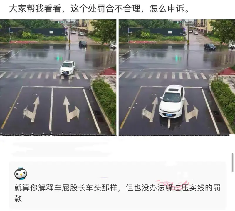 大家帮我看看，这个处罚合不合理，怎么申诉。就算你解释车屁股长